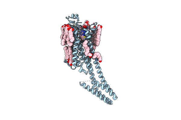 8CU6 image