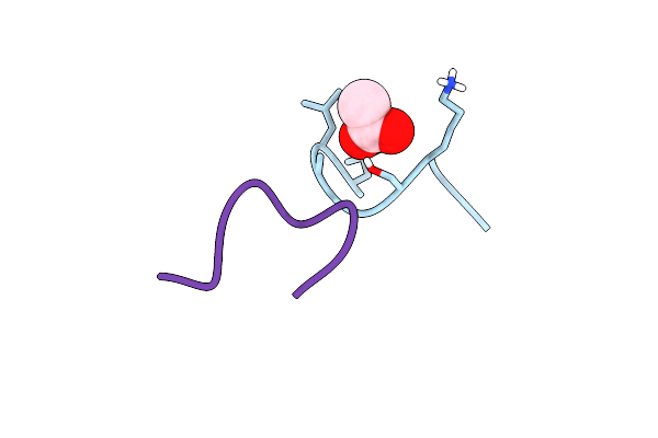 8CUG image