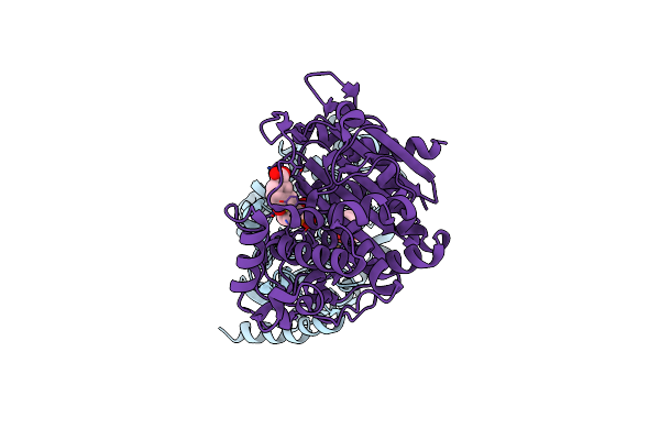 8CUQ image