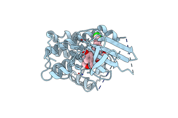 8CUR image