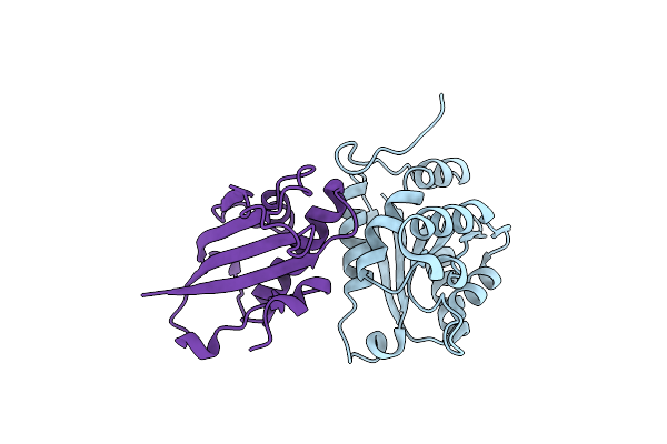 8CUV image