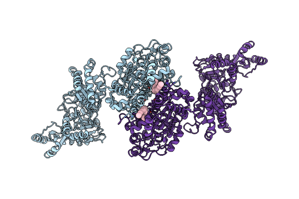 8CV0 image