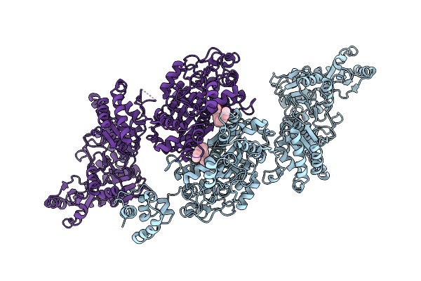 8CV1 image