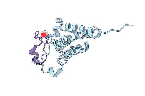 8CV6 image