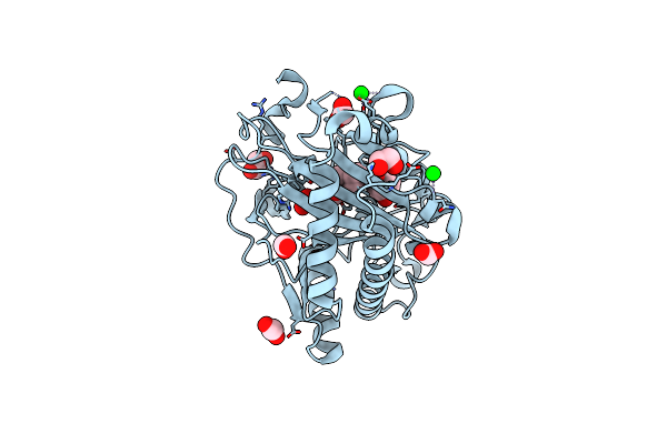 8CV8 image