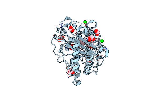 8CV9 image