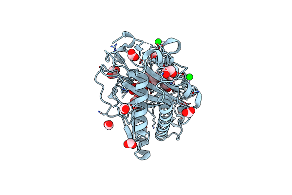 8CVA image