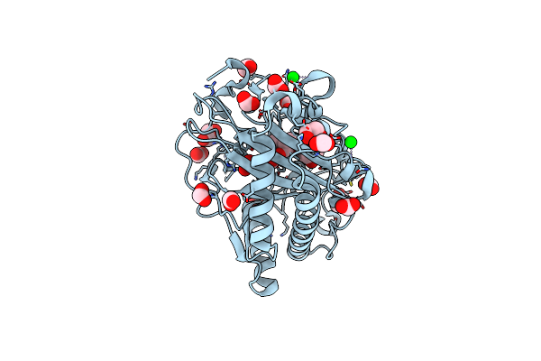 8CVB image