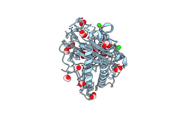 8CVC image
