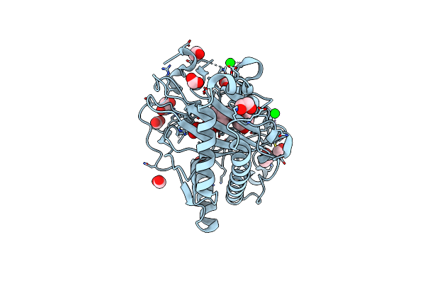 8CVD image