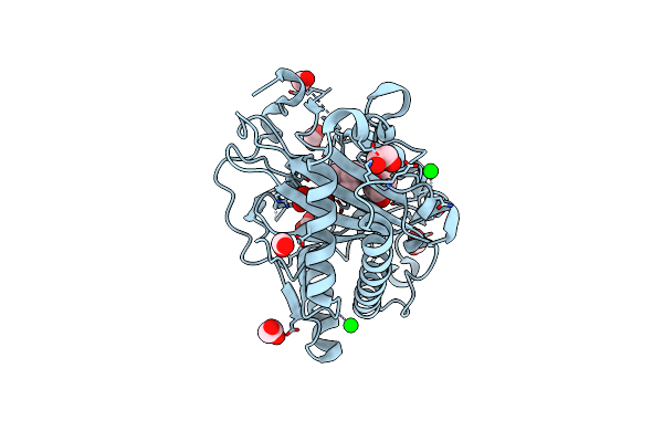 8CVF image