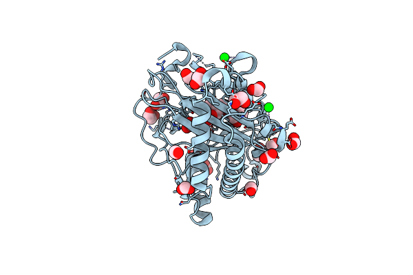 8CVG image