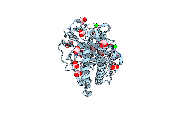 8CVH image