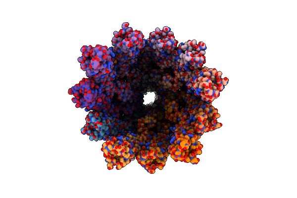 8CVI image