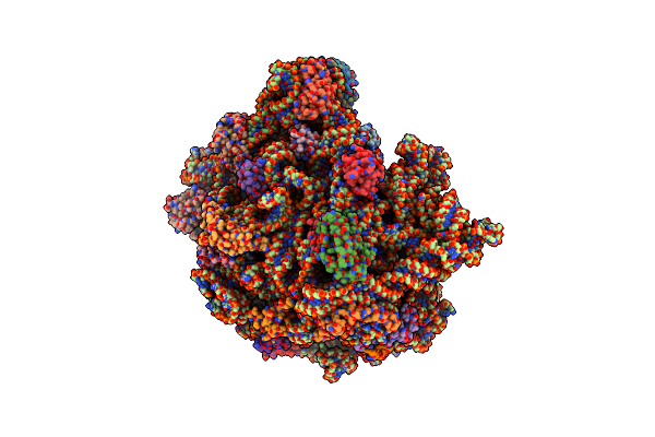 8CVM image