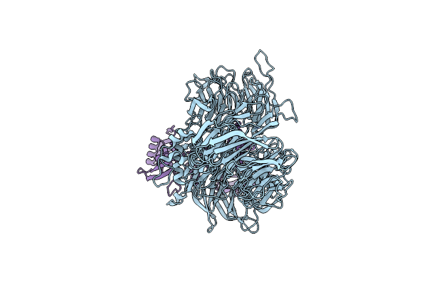 8CVP image