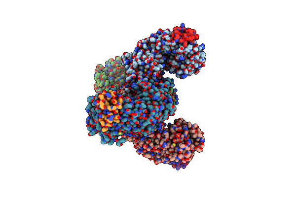8CVX image