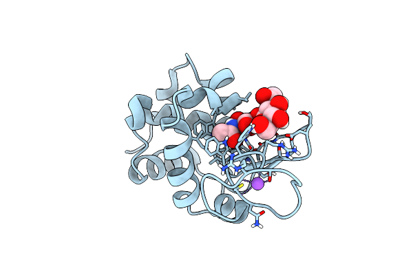 8CWH image