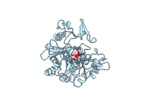 8CWP image