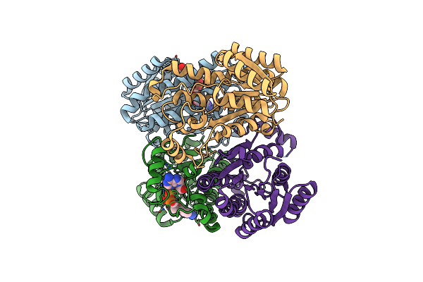 8CXA image