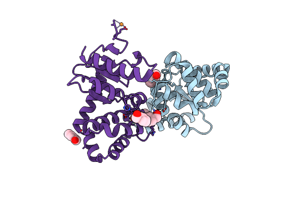 8CXD image