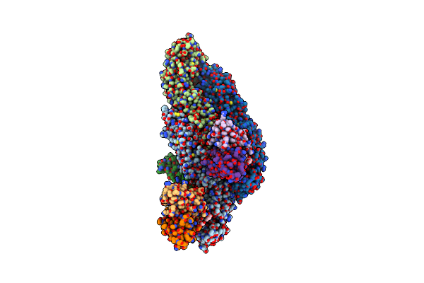 8CXI image