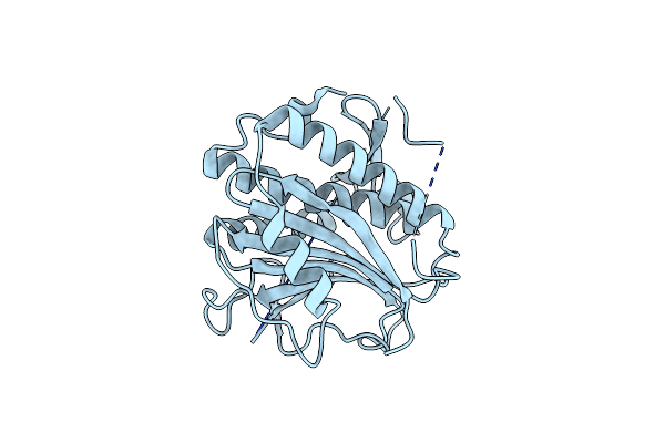 8CXK image