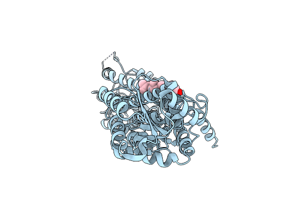 8CXO image