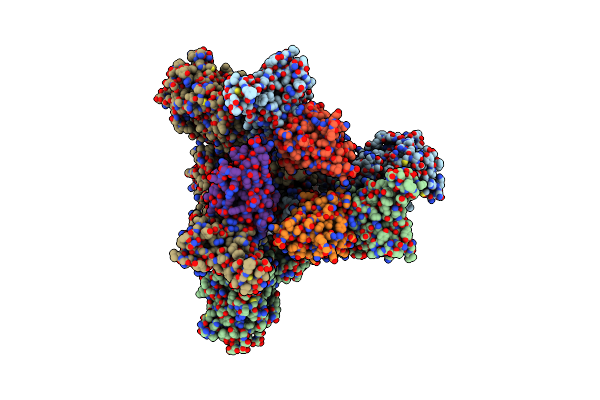 8CYC image