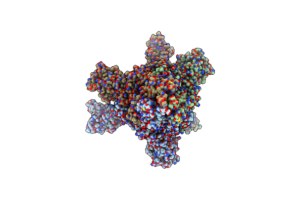 8CYD image