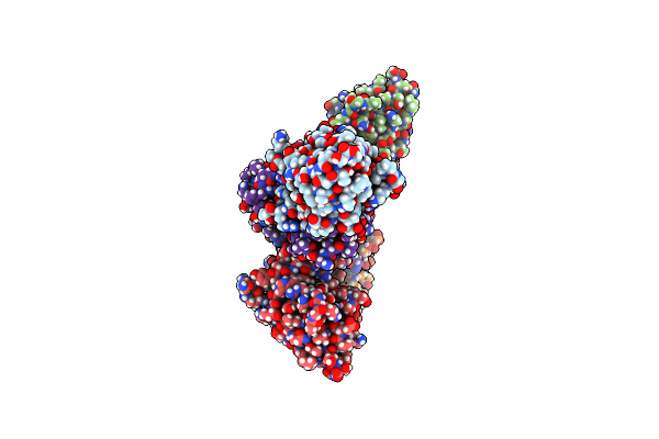 8CYJ image