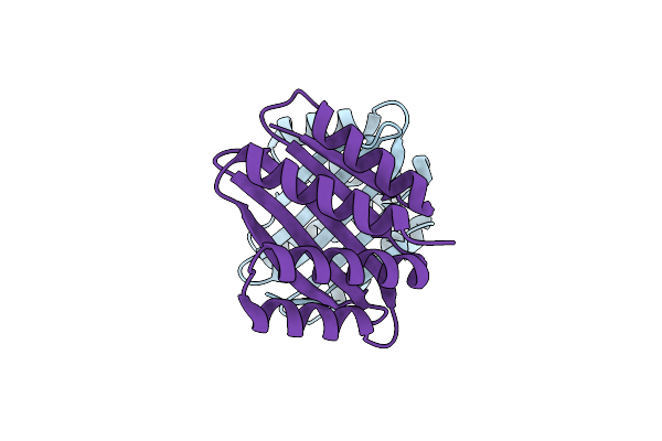 8CYK image
