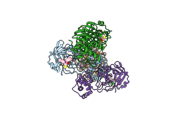 8CYU image
