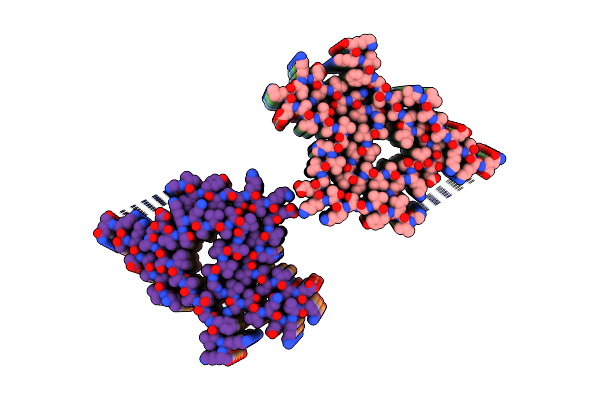 8CYY image