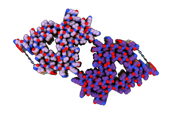8CZ2 image