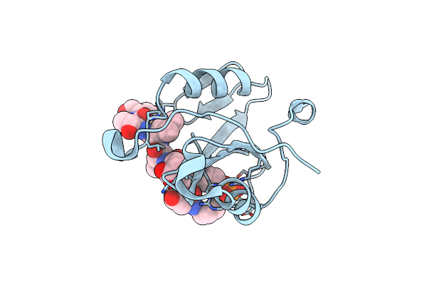 8CZ9 image