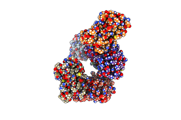 8CZA image