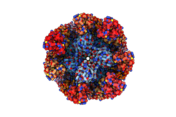8CZO image