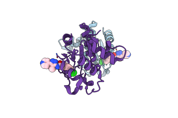 8D0E image