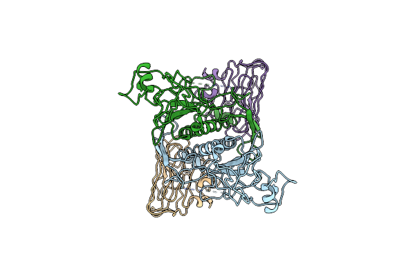 8D1B image