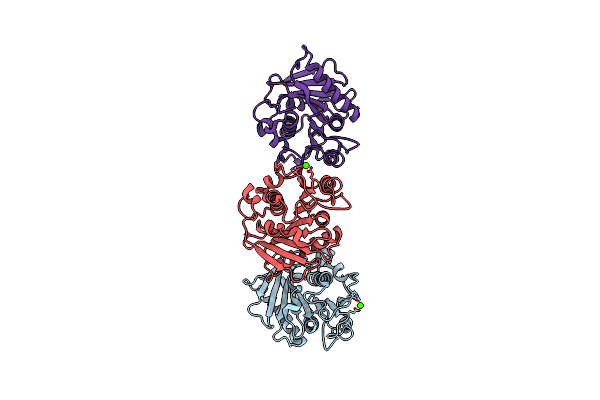 8D1D image