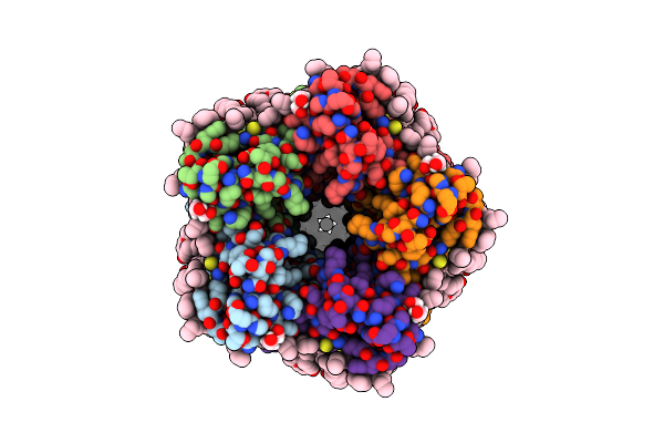 8D1G image