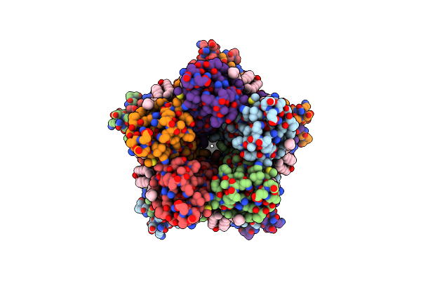 8D1K image