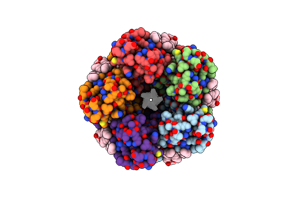 8D1O image