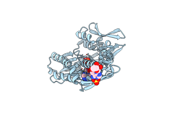 8D1P image