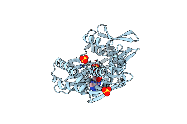 8D1Q image