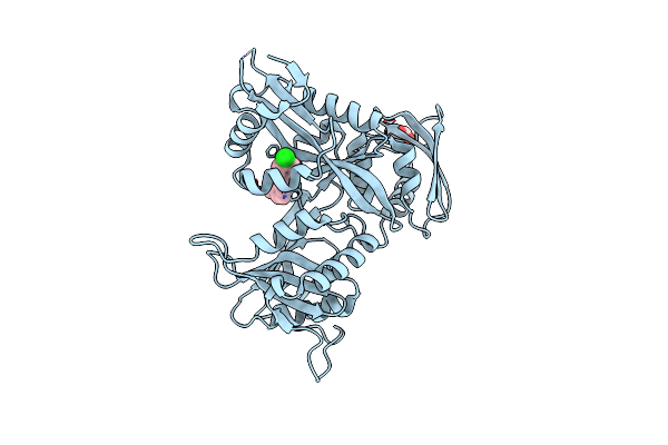 8D1R image