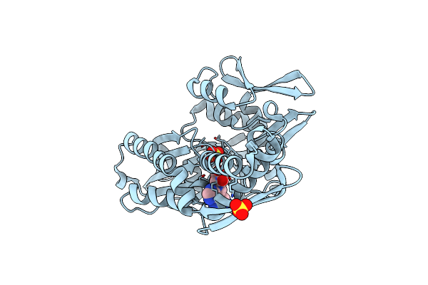 8D1S image