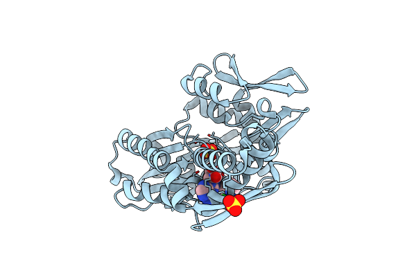 8D1W image