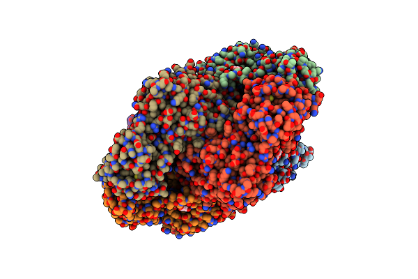 8D1X image